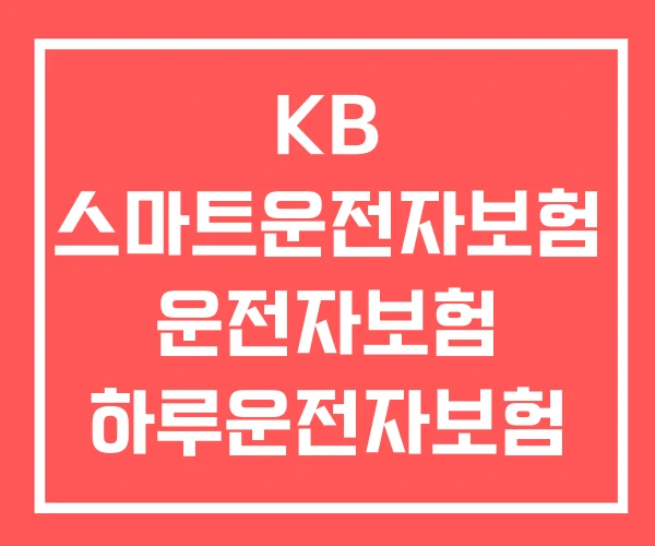 KB 스마트운전자보험 운전자보험 하루운전자보험 KB 스마트운전자보험 운전자보험 하루운전자보험