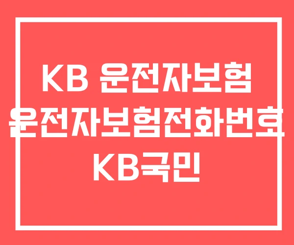 KB 운전자보험 운전자보험전화번호 KB국민 KB 운전자보험 운전자보험전화번호 KB국민