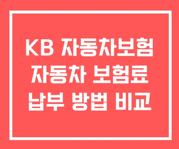 KB 자동차보험 자동차 보험료 납부 방법 비교