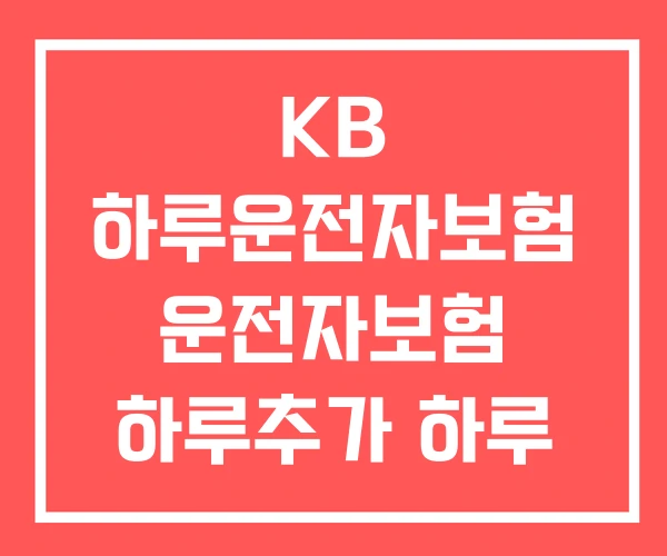KB 하루운전자보험 운전자보험 하루추가 하루