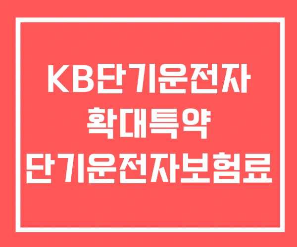 KB단기운전자 확대특약 단기운전자보험료 KB단기운전자 확대특약 단기운전자보험료