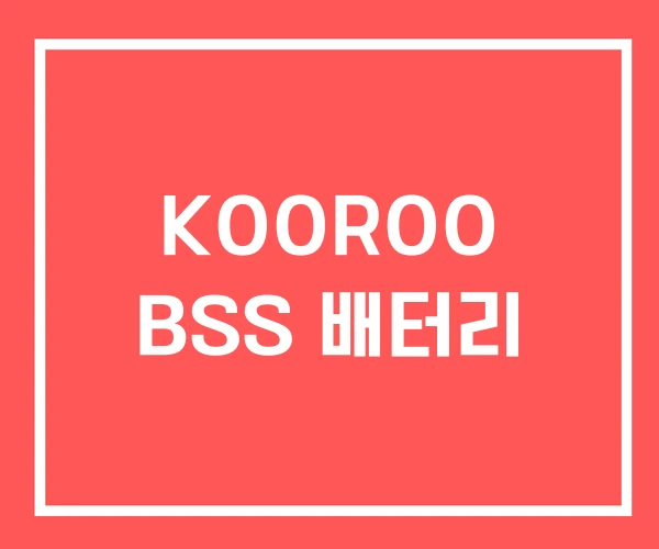 KOOROO BSS 배터리 KOOROO BSS 배터리
