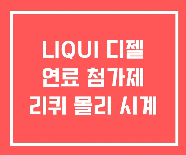 LIQUI 디젤 연료 첨가제 리퀴 몰리 시계
