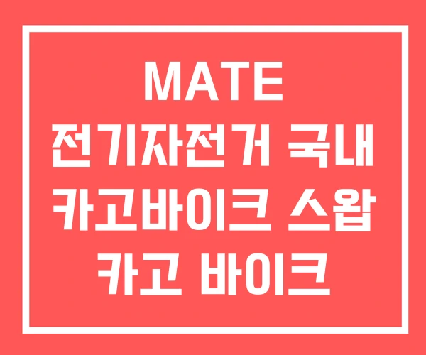 MATE 전기자전거 국내 카고바이크 스왑 카고 바이크
