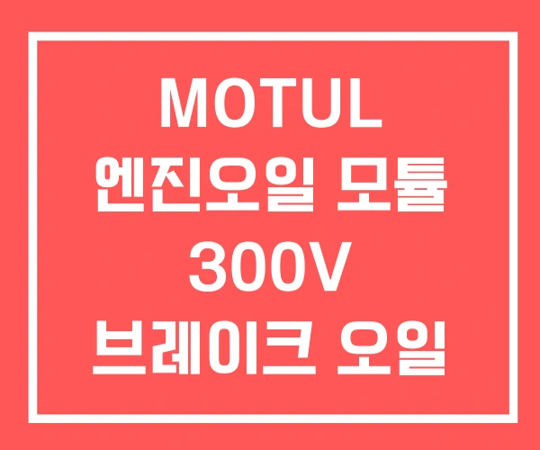 MOTUL 엔진오일 모튤 300V 브레이크 오일 MOTUL 엔진오일 모튤 300V 브레이크 오일