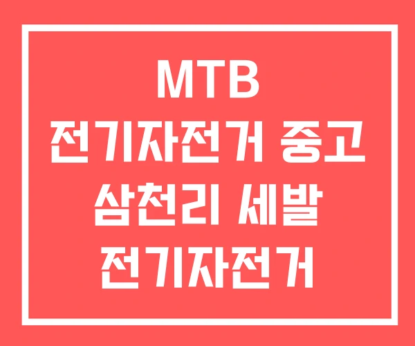 MTB 전기자전거 중고 삼천리 세발 전기자전거