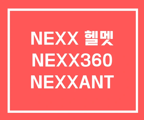 NEXX 헬멧 NEXX360 NEXXANT