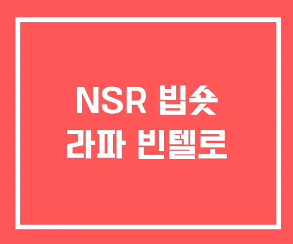 NSR 빕숏 라파 빈텔로 NSR 빕숏 라파 빈텔로
