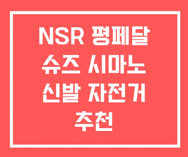 NSR 평페달 슈즈 시마노 신발 자전거 추천