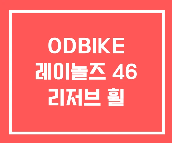 ODBIKE 레이놀즈 46 리저브 휠