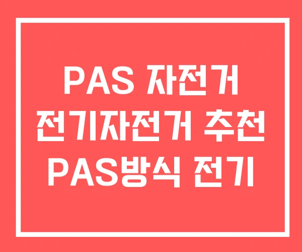 PAS 자전거 전기자전거 추천 PAS방식 전기