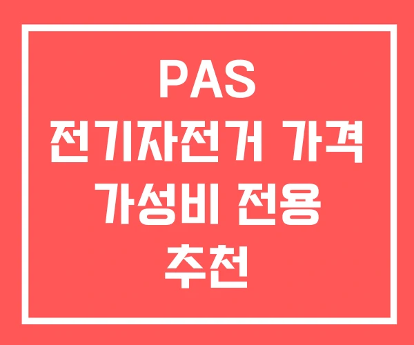PAS 전기자전거 가격 가성비 전용 추천