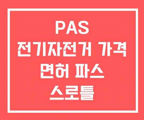 PAS 전기자전거 가격 면허 파스 스로틀
