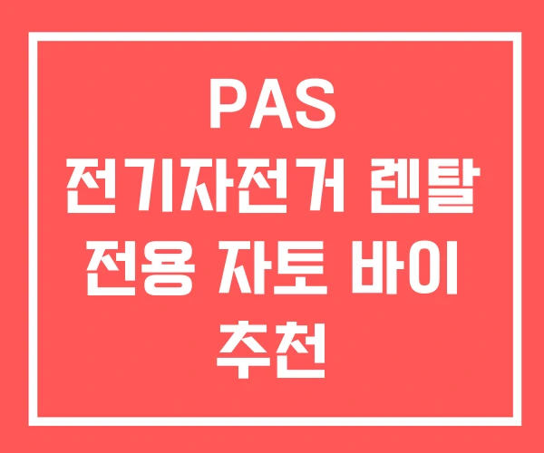 PAS 전기자전거 렌탈 전용 자토 바이 추천