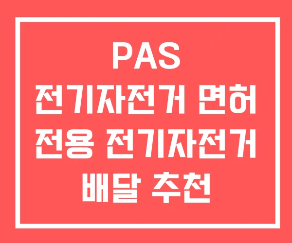 PAS 전기자전거 면허 전용 전기자전거 배달 추천