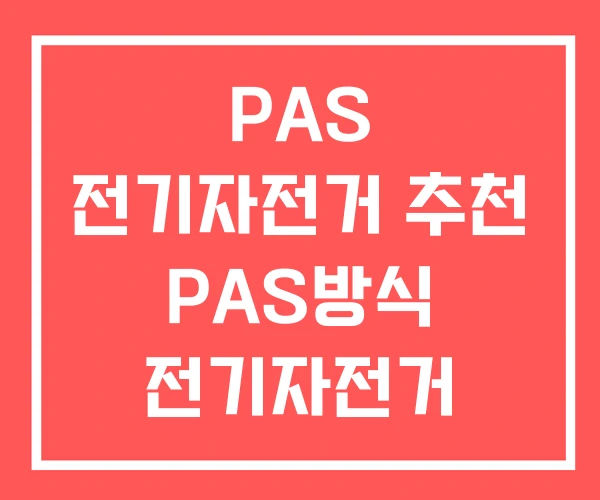 PAS 전기자전거 추천 PAS방식 전기자전거 PAS전용