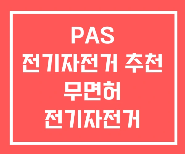 PAS 전기자전거 추천 무면허 전기자전거 PAS 전기자전거 추천 무면허 전기자전거