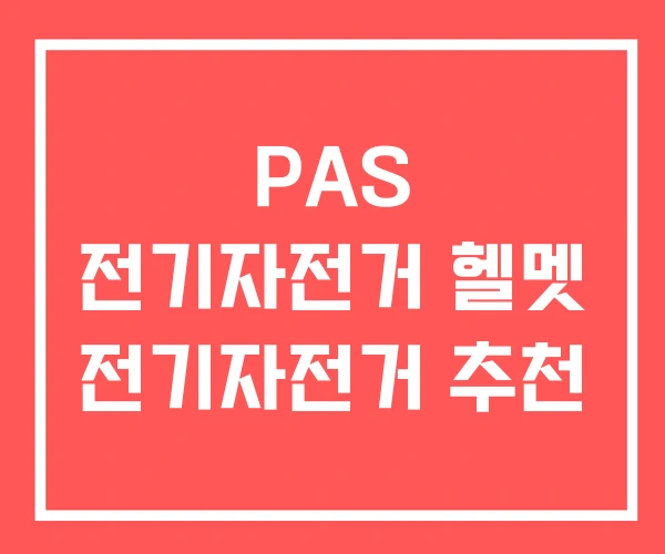 PAS 전기자전거 헬멧 전기자전거 추천