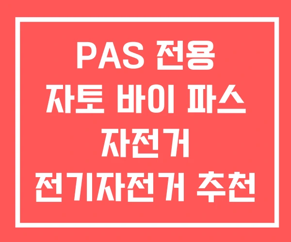 PAS 전용 자토 바이 파스 자전거 전기자전거 추천 PAS 전용 자토 바이 파스 자전거 전기자전거 추천