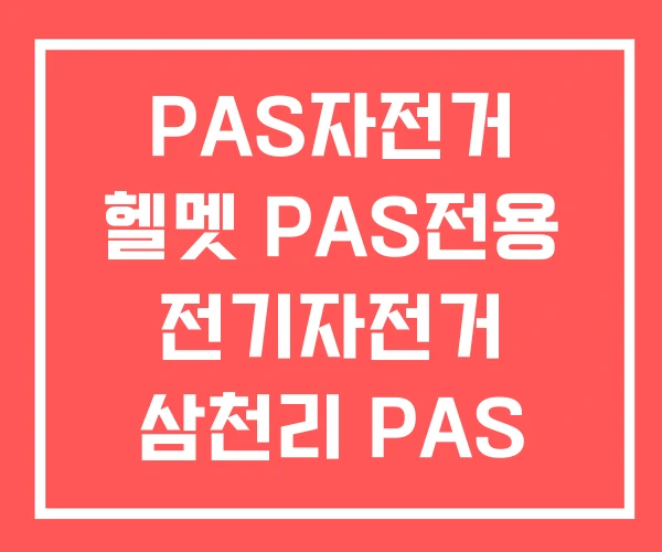 PAS자전거 헬멧 PAS전용 전기자전거 삼천리 PAS