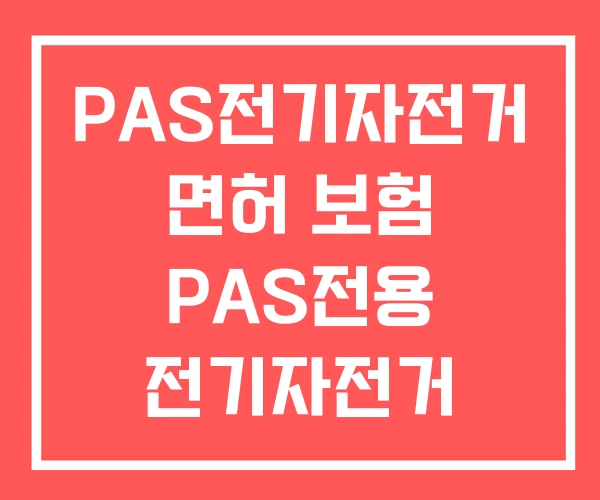 PAS전기자전거 면허 보험 PAS전용 전기자전거
