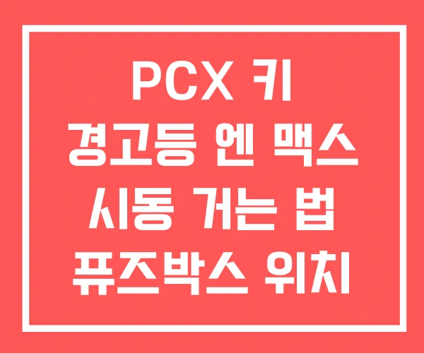 PCX 키 경고등 엔 맥스 시동 거는 법 퓨즈박스 위치
