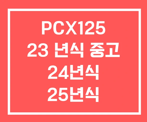 PCX125 23 년식 중고 24년식 25년식 PCX125 23 년식 중고 24년식 25년식
