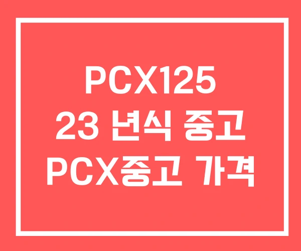 PCX125 23 년식 중고 PCX중고 가격 PCX125 23 년식 중고 PCX중고 가격