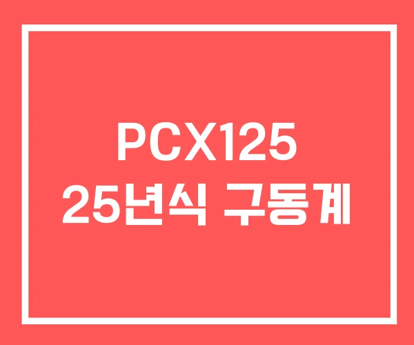 PCX125 25년식 구동계