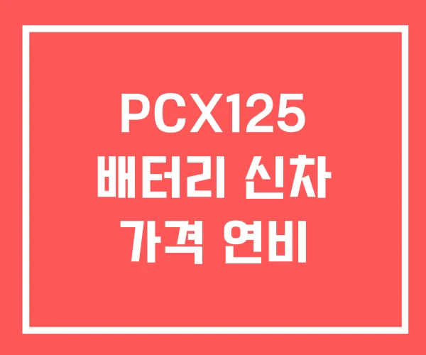 PCX125 배터리 신차 가격 연비 PCX125 배터리 신차 가격 연비