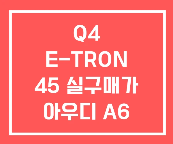 Q4 E-TRON 45 실구매가 아우디 A6 가격