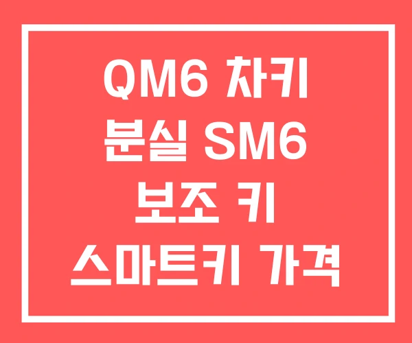 QM6 차키 분실 SM6 보조 키 스마트키 가격