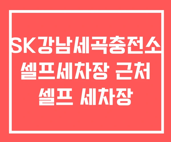 SK강남세곡충전소 셀프세차장 근처 셀프 세차장