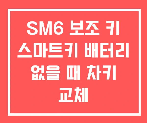 SM6 보조 키 스마트키 배터리 없을 때 차키 교체
