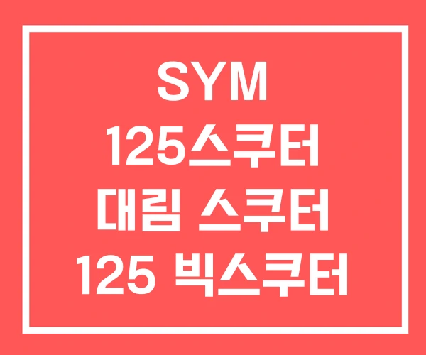SYM 125스쿠터 대림 스쿠터 125 빅스쿠터