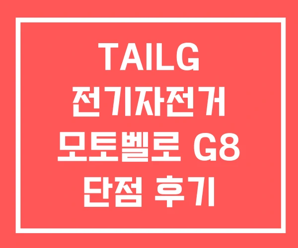 TAILG 전기자전거 모토벨로 G8 단점 후기