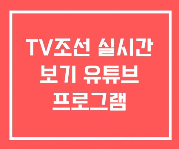 TV조선 실시간 보기 유튜브 프로그램 TV조선 실시간 보기 유튜브 프로그램