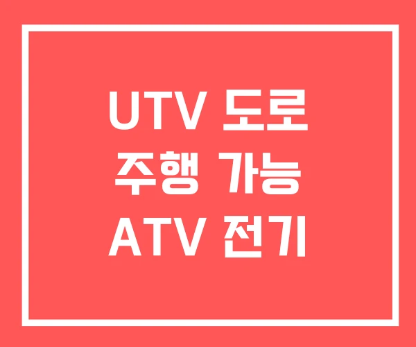 UTV 도로 주행 가능 ATV 전기