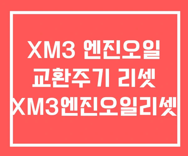 XM3 엔진오일 교환주기 리셋 XM3엔진오일리셋