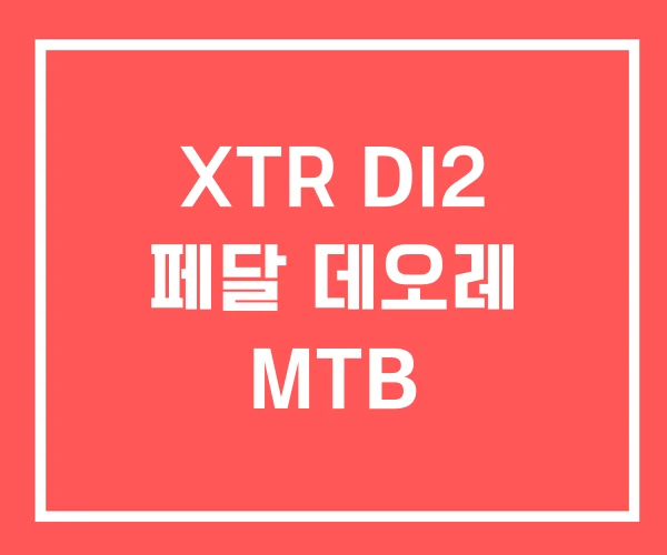 XTR DI2 페달 데오레 MTB