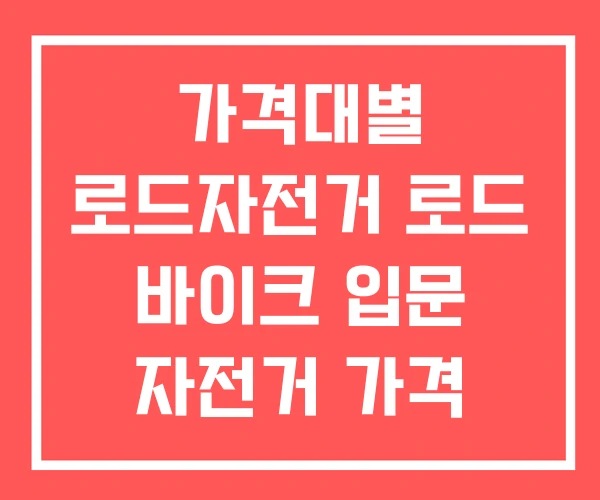 가격대별 로드자전거 로드 바이크 입문 자전거 가격