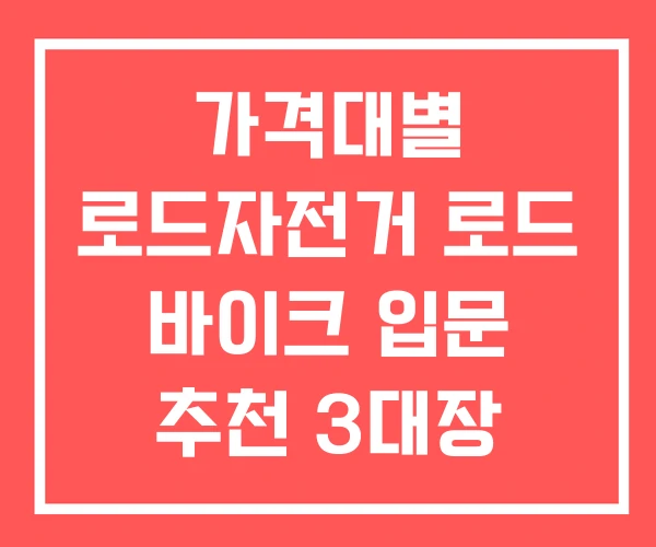 가격대별 로드자전거 로드 바이크 입문 추천 3대장