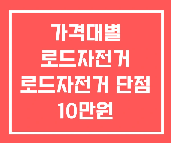 가격대별 로드자전거 로드자전거 단점 10만원