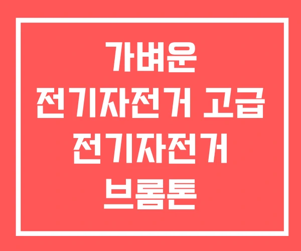 가벼운 전기자전거 고급 전기자전거 브롬톤