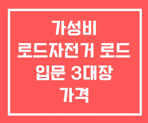 가성비 로드자전거 로드 입문 3대장 가격