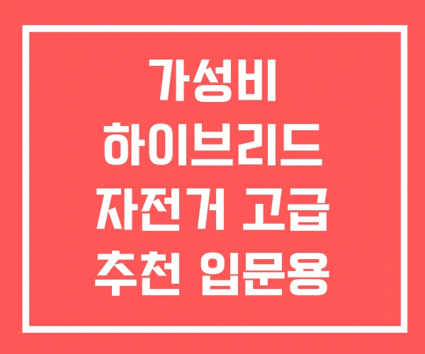 가성비 하이브리드 자전거 고급 추천 입문용