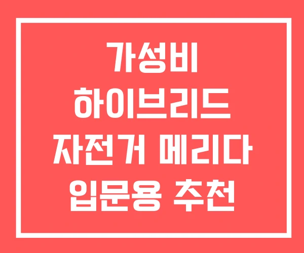 가성비 하이브리드 자전거 메리다 입문용 추천