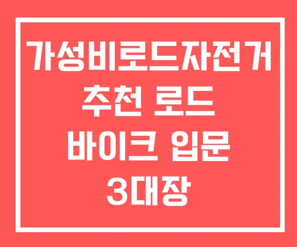 가성비로드자전거 추천 로드 바이크 입문 3대장