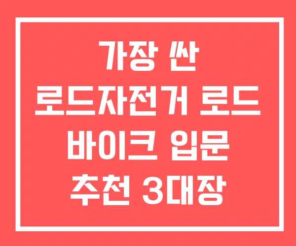 가장 싼 로드자전거 로드 바이크 입문 추천 3대장