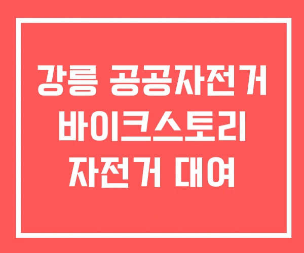 강릉 공공자전거 바이크스토리 자전거 대여